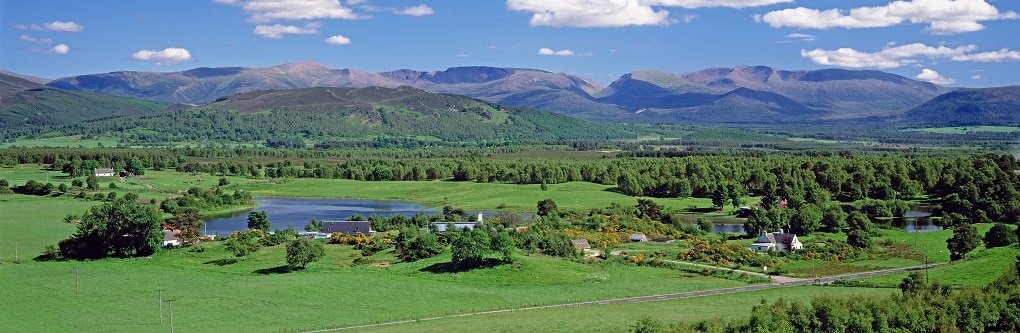 Cairngorms