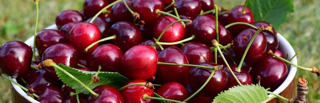 cherries