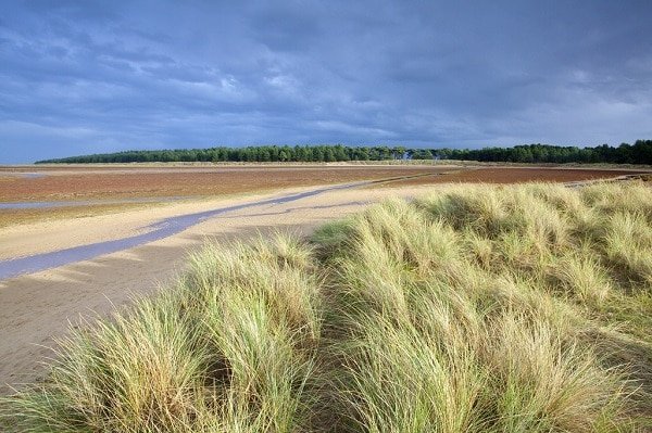 English beaches