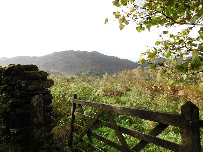 Grasmere