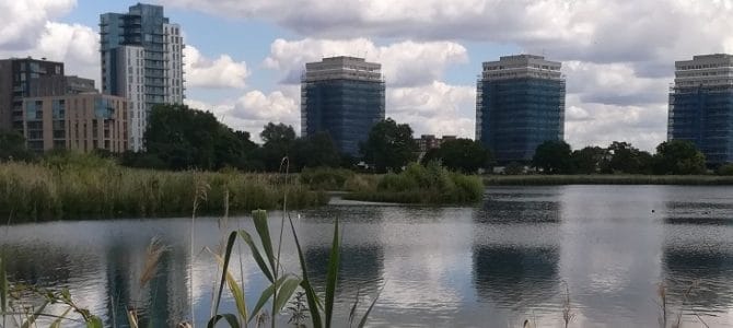 London’s Green Spaces: Woodberry Wetlands