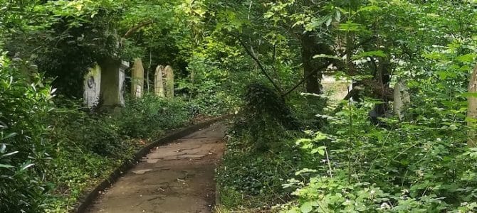 London’s Green Spaces: Abney Park