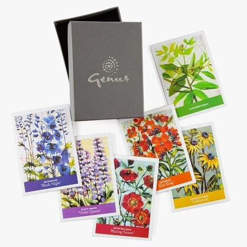 boxed set of seed packets